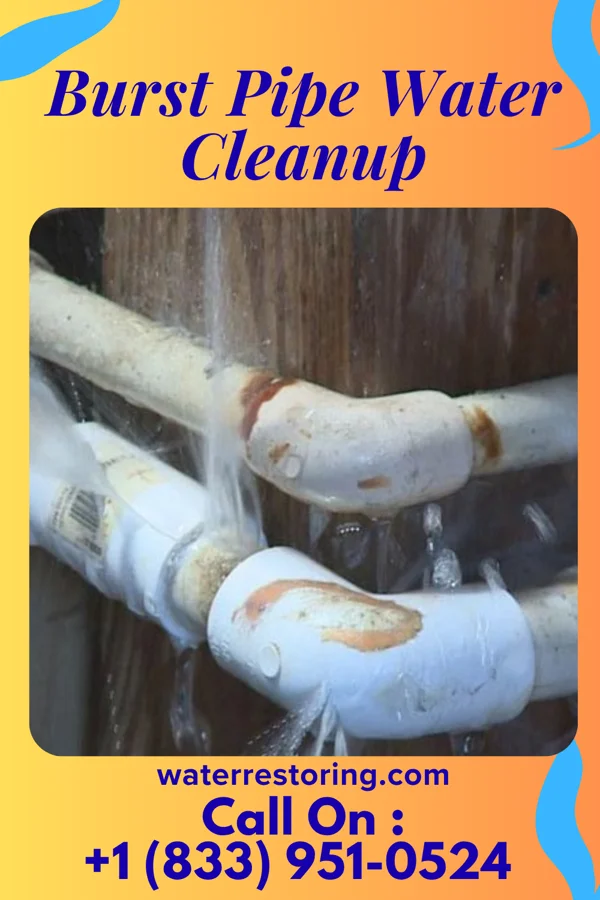 Burst Pipe Water Cleanup in Hagaman, NY