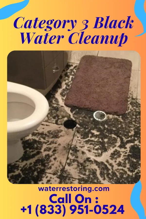 Category 3 Black Water Cleanup in Hagaman, NY