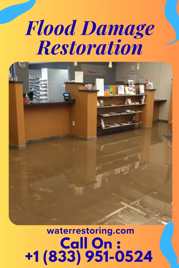 Flood Damage Restoration in Hagaman, NY