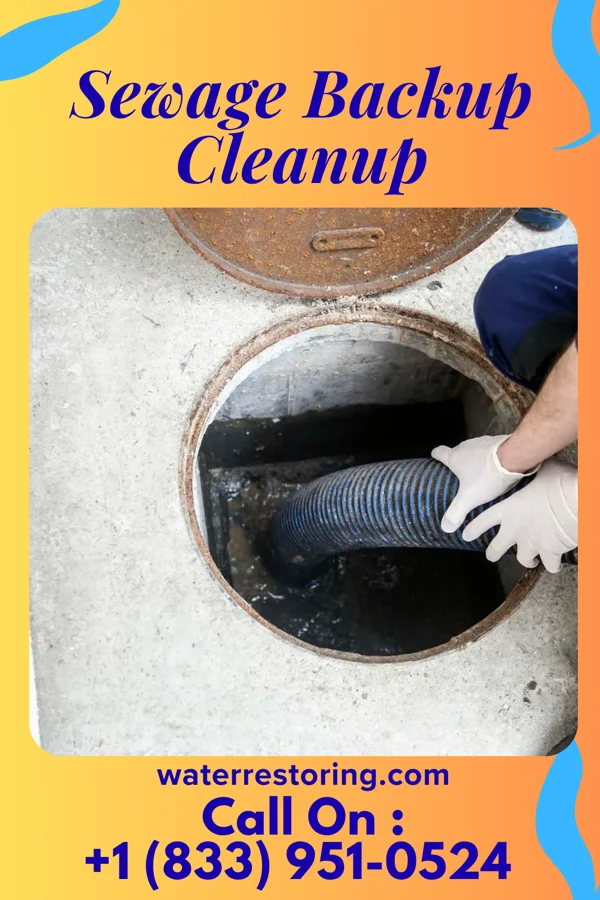 Sewage Backup Cleanup in Hagaman, NY