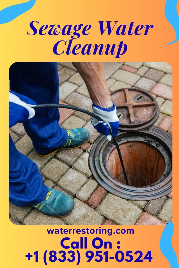 Sewage Water Cleanup in Hagaman, NY